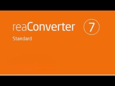 reaconverter 7 standard key